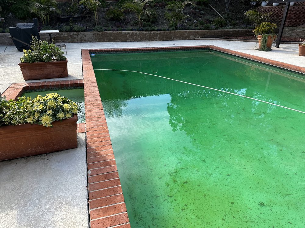 Photo of Michel's Pool Services