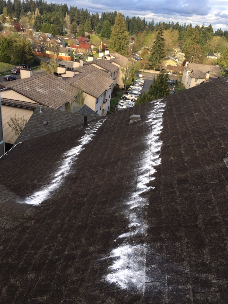 Photo of Roof Service Repair