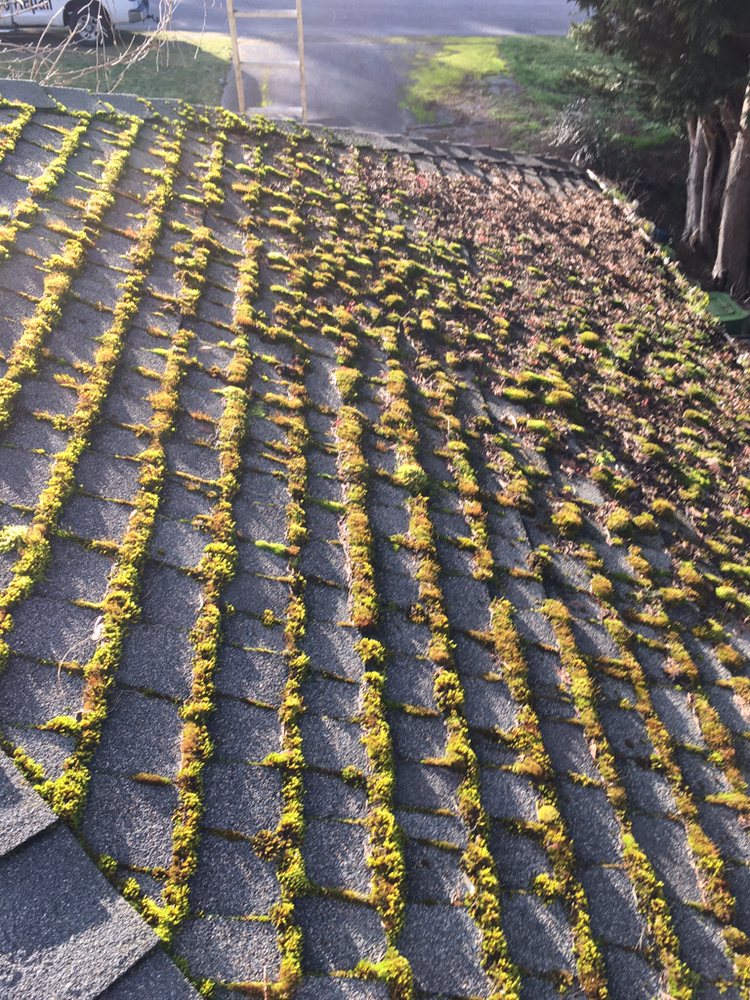 Photo of Roof Service Repair