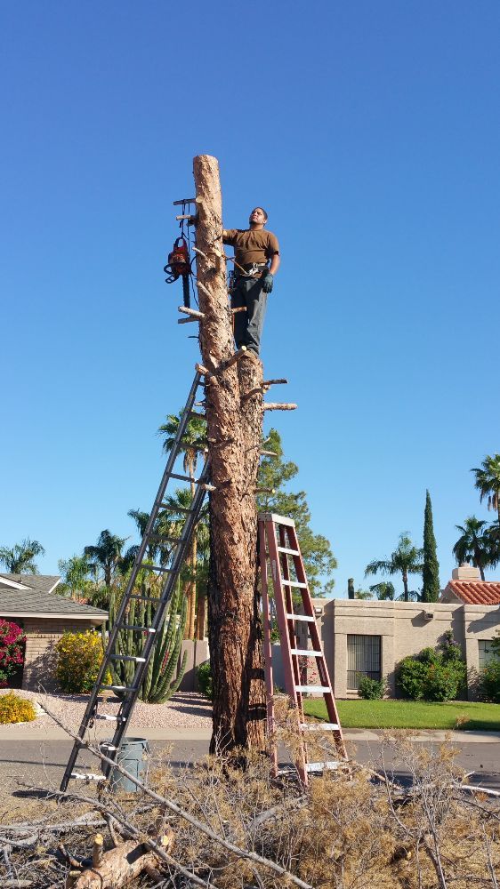Photo of Daniel Landscaping
