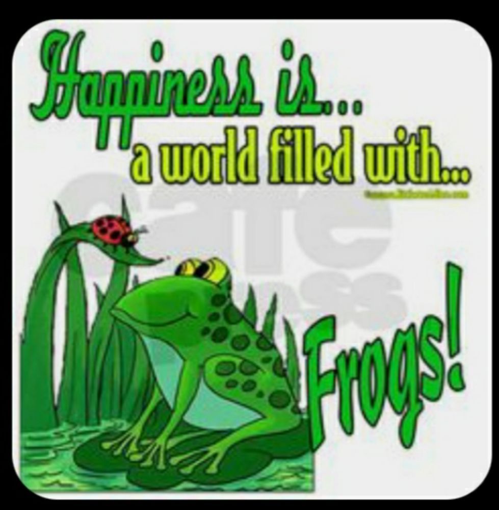 Photo of Frog's Heat And Air