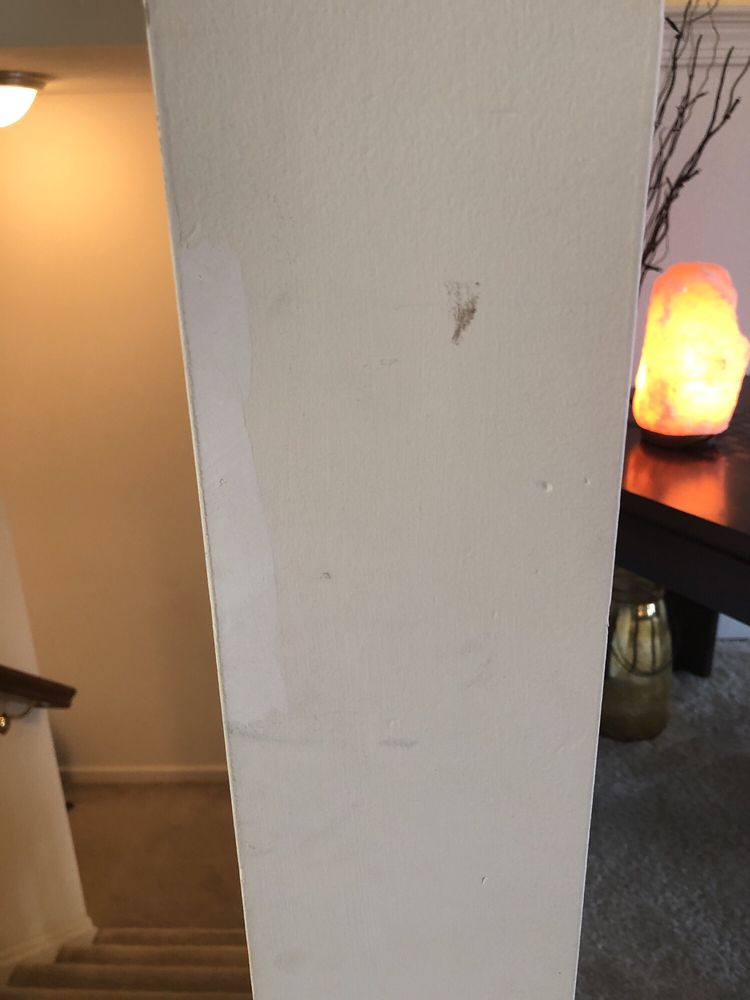Photo of My Labor & Moving