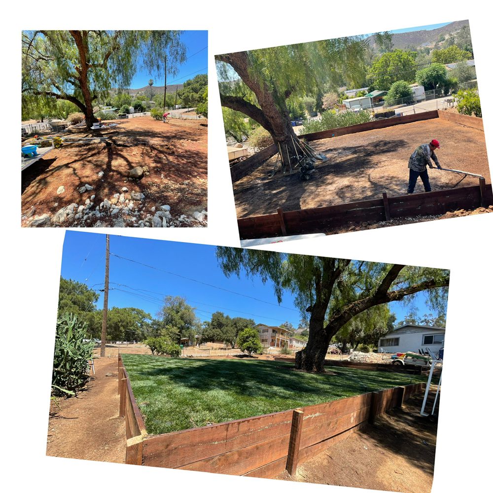 Photo of King's Landscaping & Maintenance