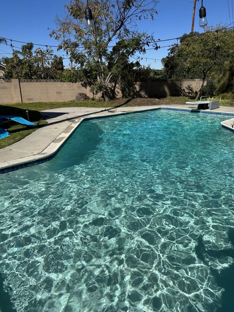 Photo of Apex Pools Services