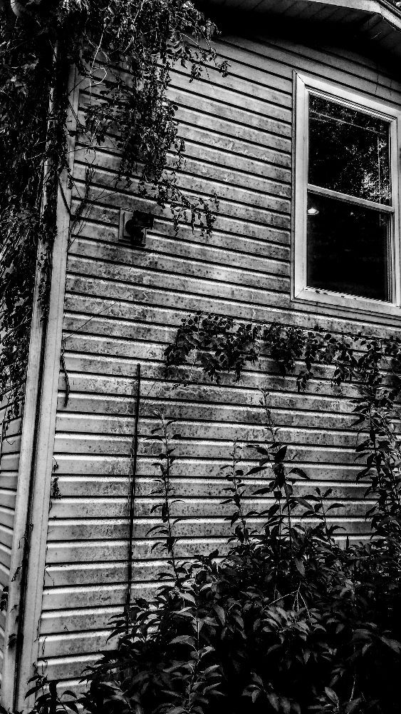 Photo of Pressure Washing Kings