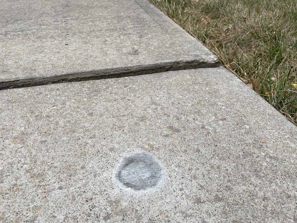 Photo of Foundation 1