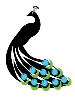 Photo of Peacock Pool Services