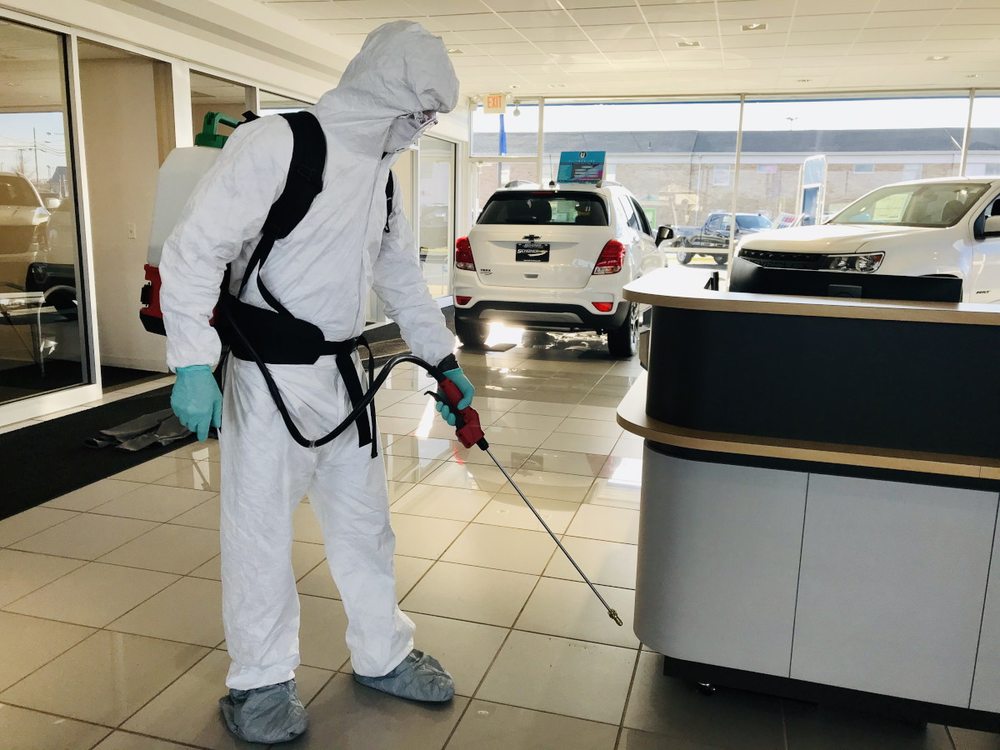 Photo of Everclean Disinfection