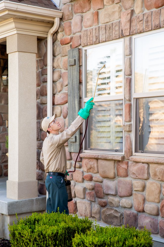 Photo of Stewart's Lawn Care and Pest Control