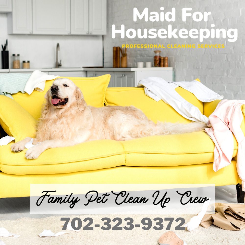 Photo of Maid for Housekeeping