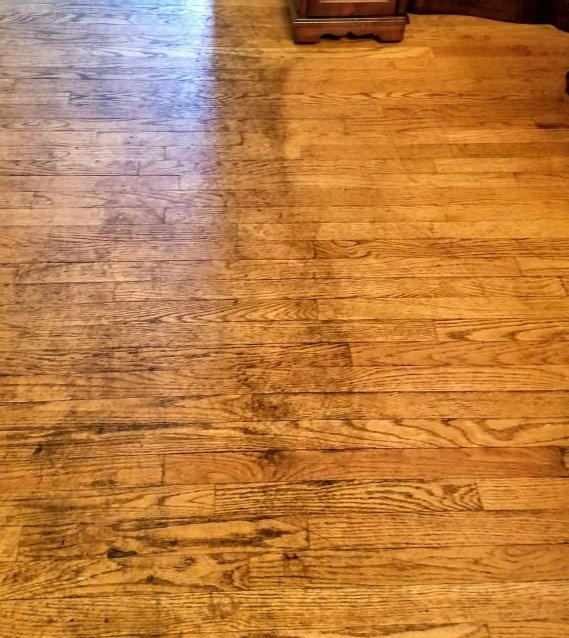 Photo of Hardwood Floor Restore