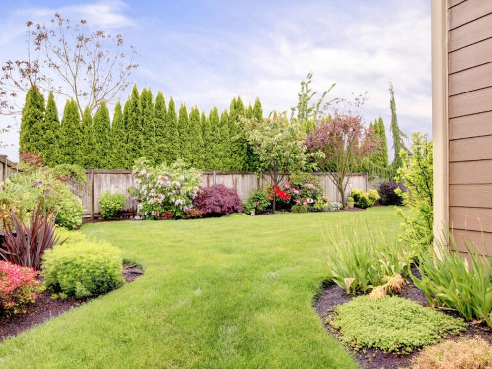 Photo of Ace Landscaping