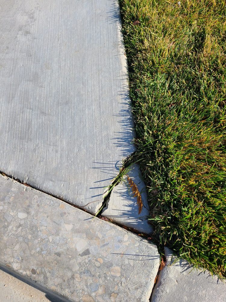 Photo of Bytendorp Enterprises Landscaping