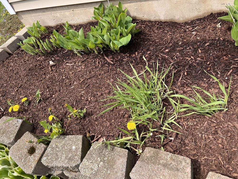 Photo of Best Budget Tree Service Firewood & Mulch