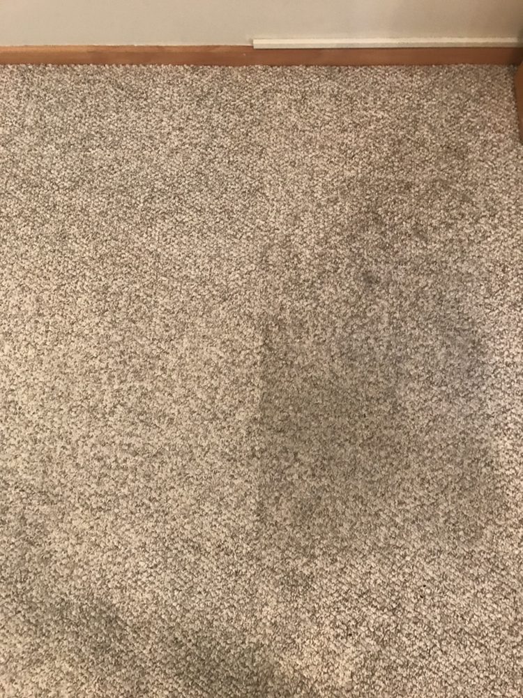 Photo of Spots Gone Carpet Cleaning & Restoration