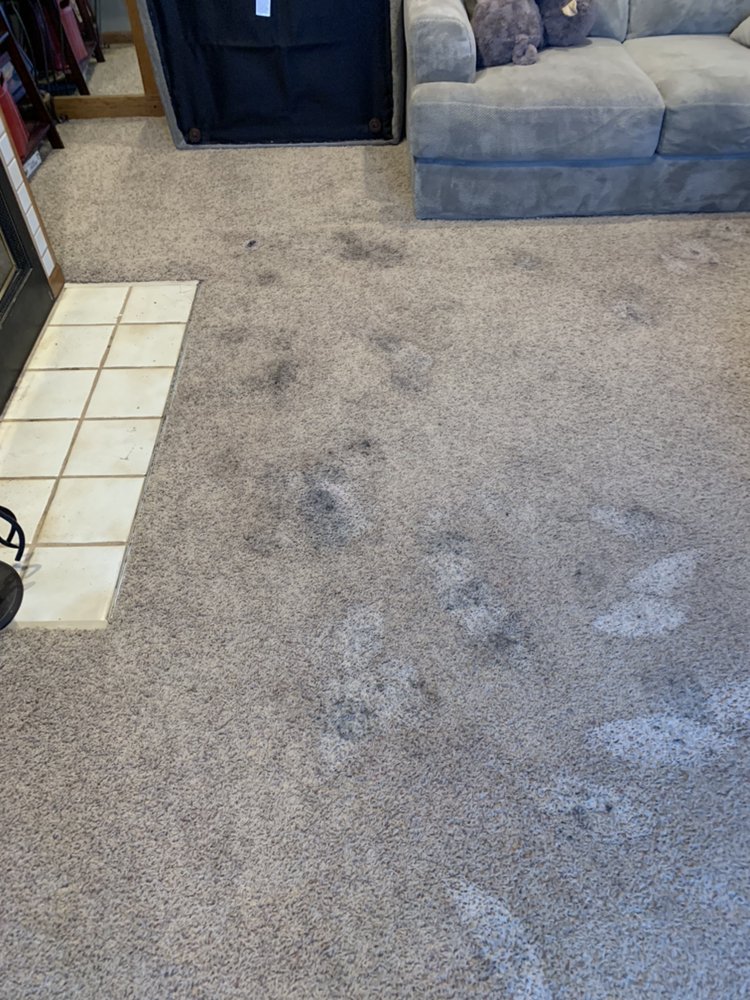 Photo of Spots Gone Carpet Cleaning & Restoration