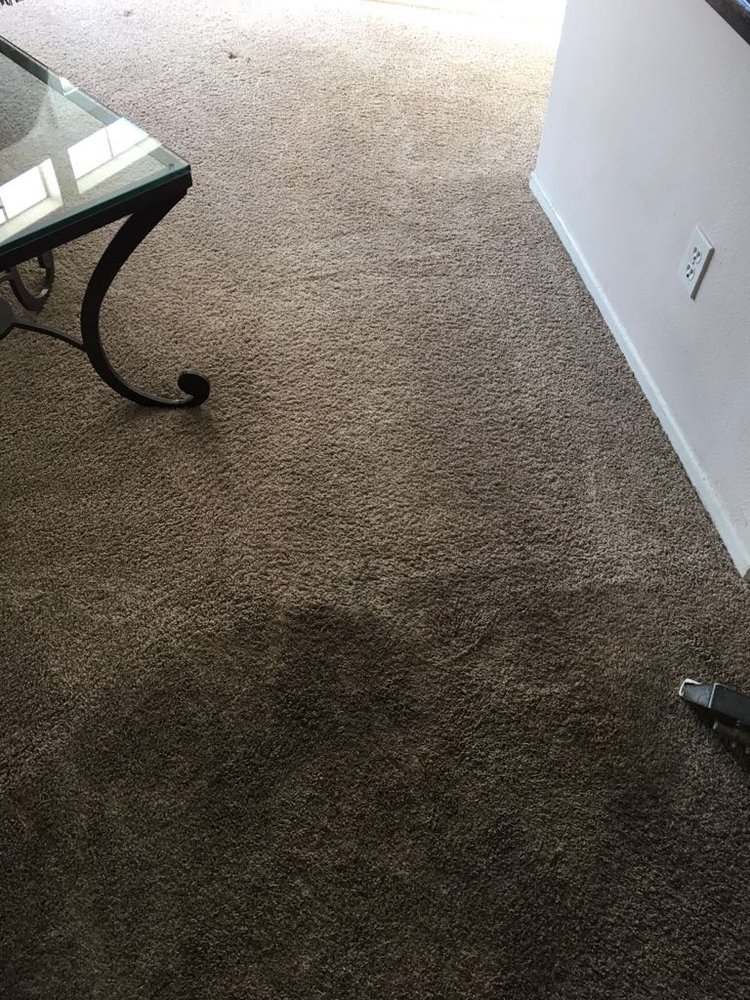 Photo of Dr. Carpet San Juan Capistrano