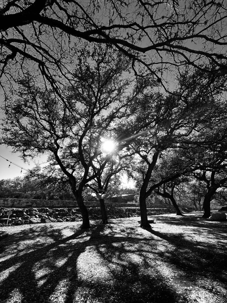 Photo of Dry Comal Creek Vineyards