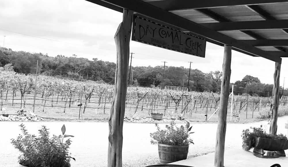 Photo of Dry Comal Creek Vineyards