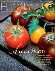 Photo of Eucalyptus Magazine