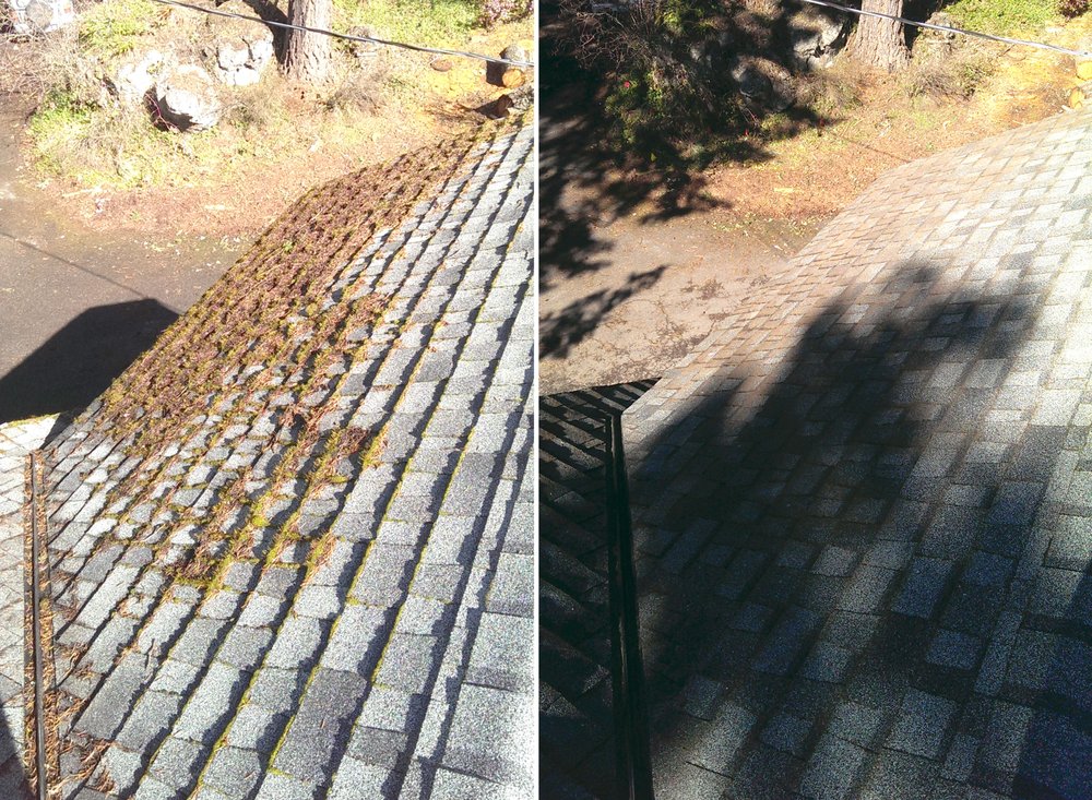 Photo of Regal Exterior Cleaning