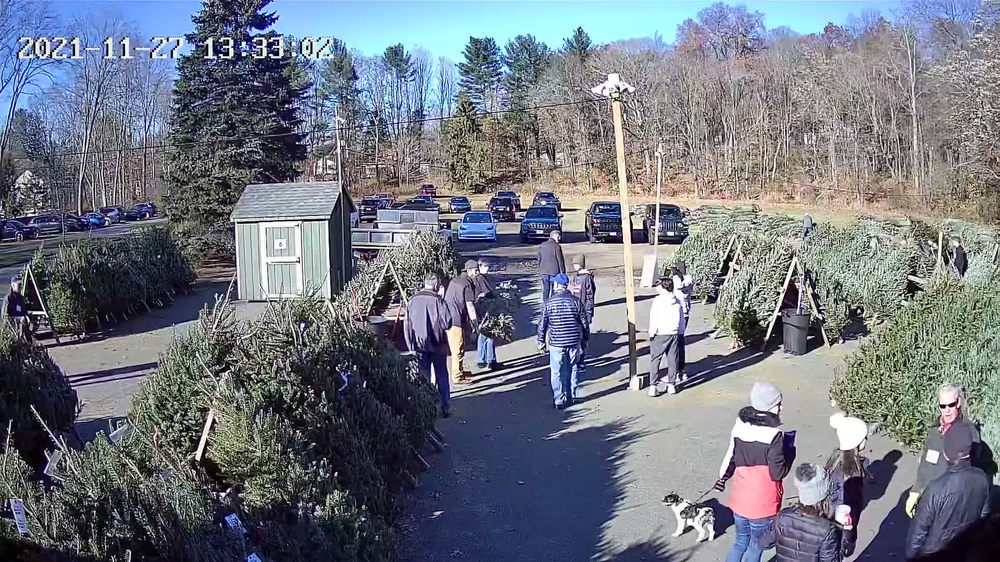 Photo of Exchange Club Christmas Tree & Wreath Sale