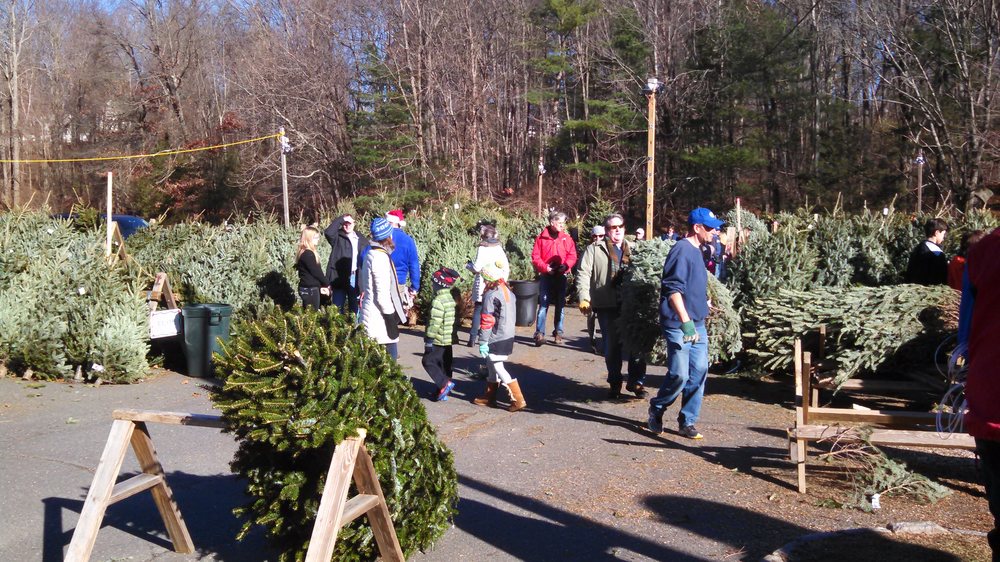 Photo of Exchange Club Christmas Tree & Wreath Sale
