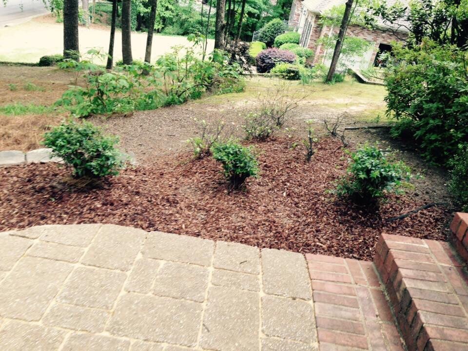 Photo of Full Service Lawn Care By Ed