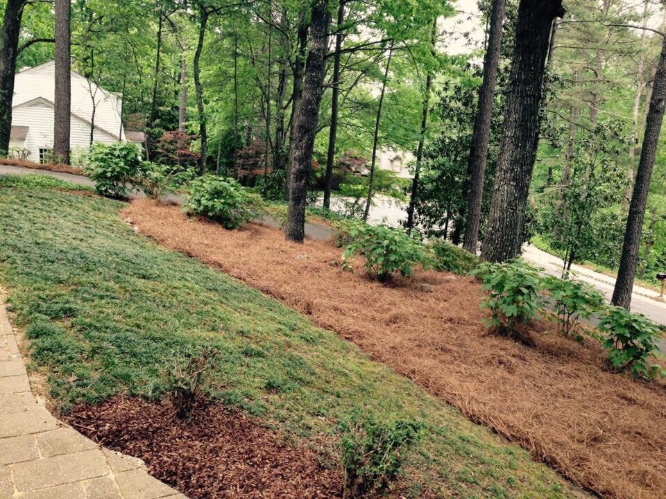 Photo of Full Service Lawn Care By Ed