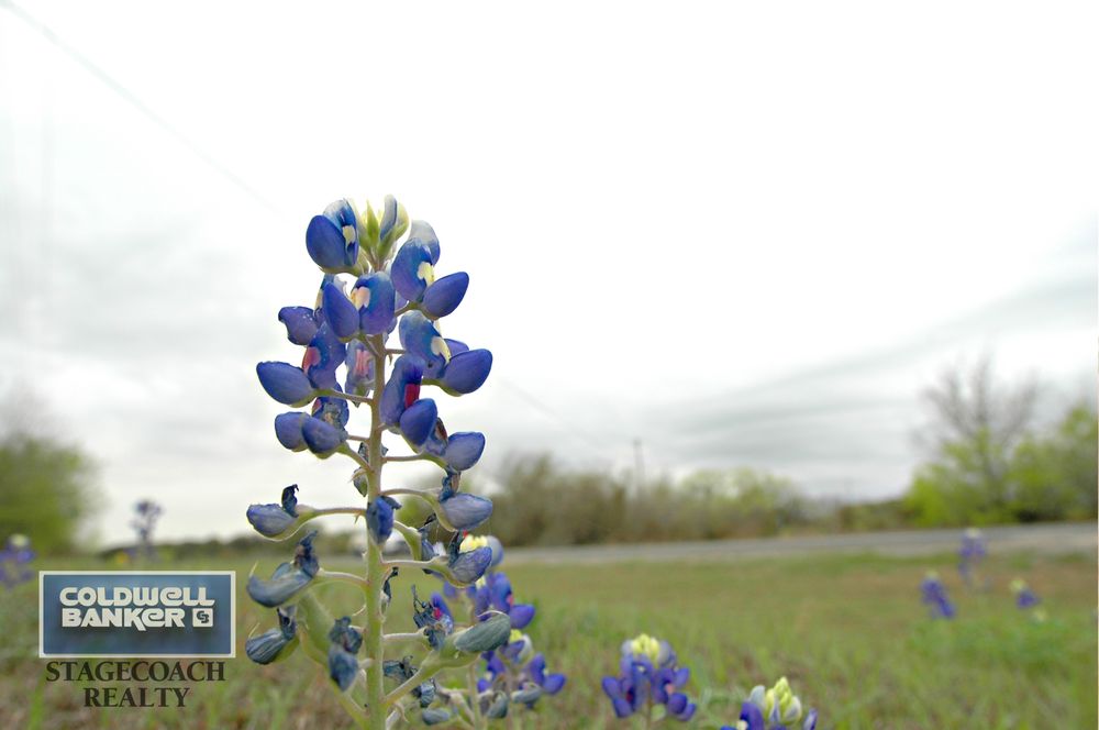 Photo of Coldwell Banker Stagecoach Realty