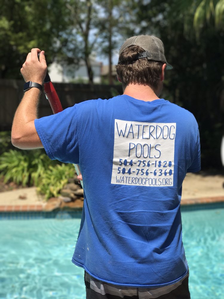 Photo of WaterDog Pool and Spa Services