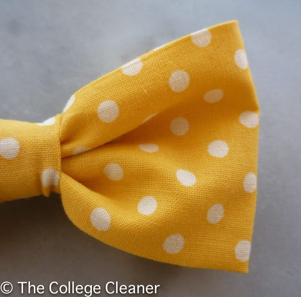 Photo of The College Cleaner