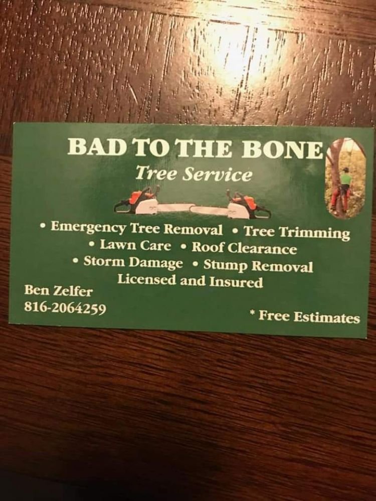 Photo of Bad to the Bone Tree Service