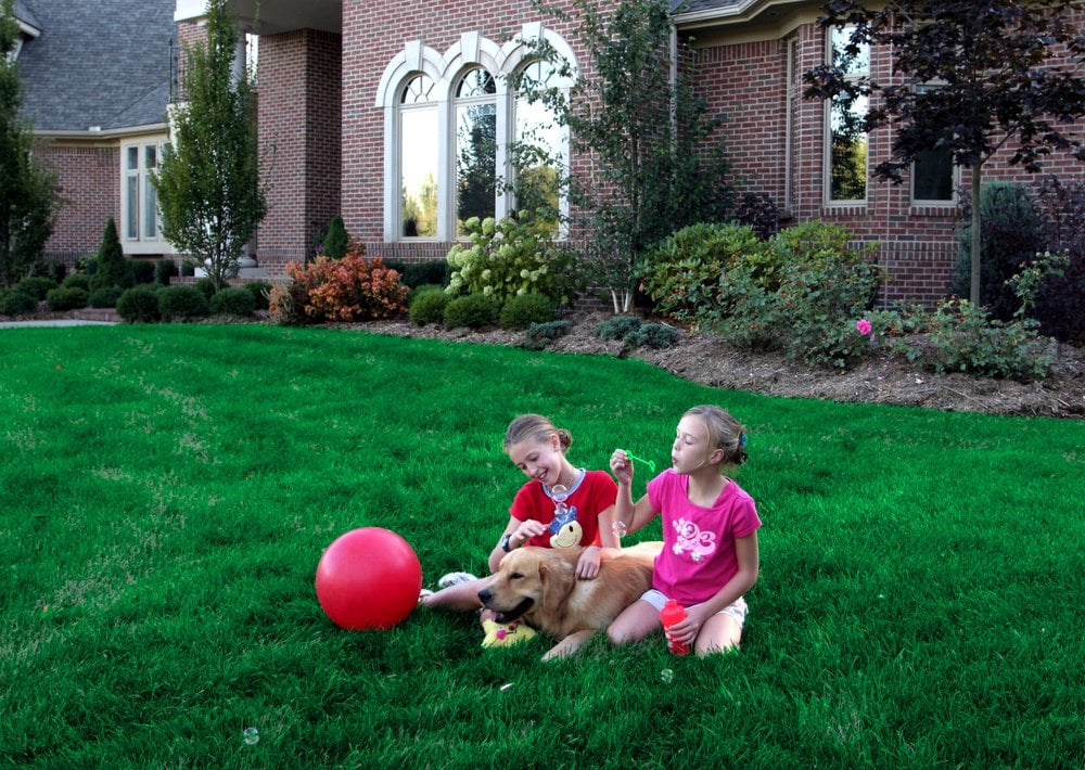 Photo of Natural Way Lawn & Tree Service
