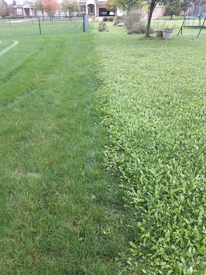 Photo of Natural Way Lawn & Tree Service