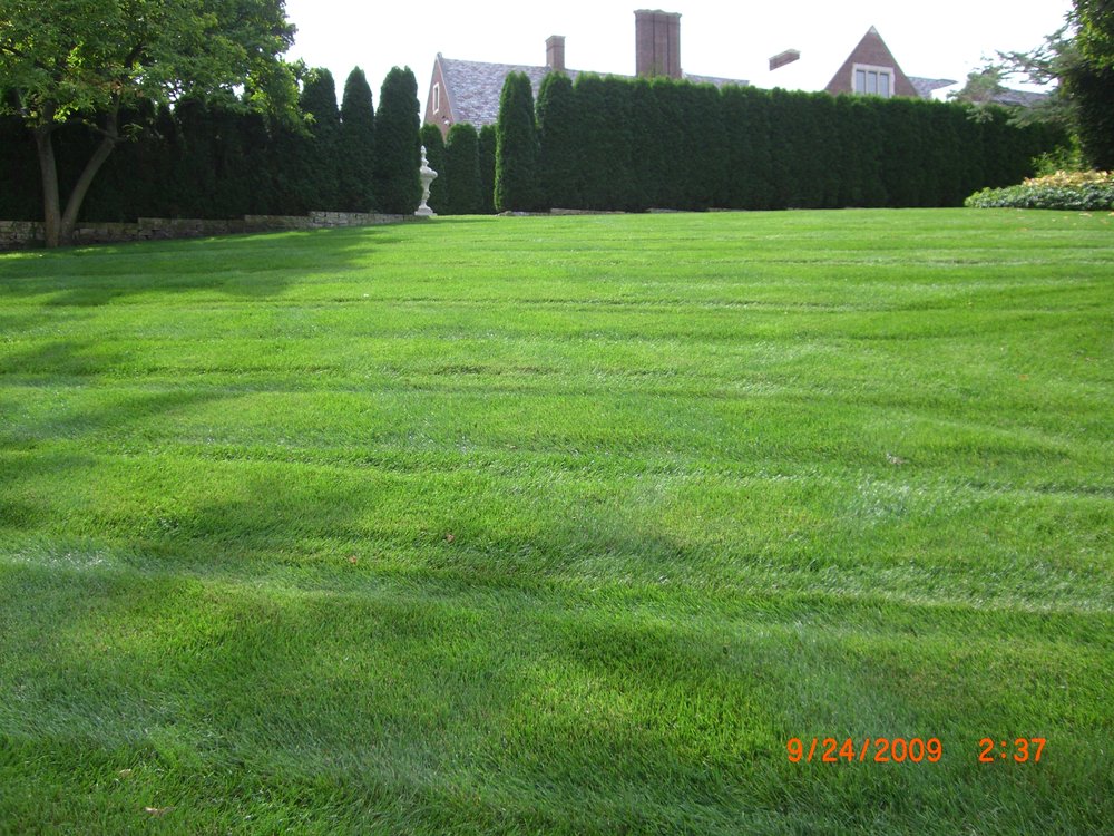 Photo of Natural Way Lawn & Tree Service