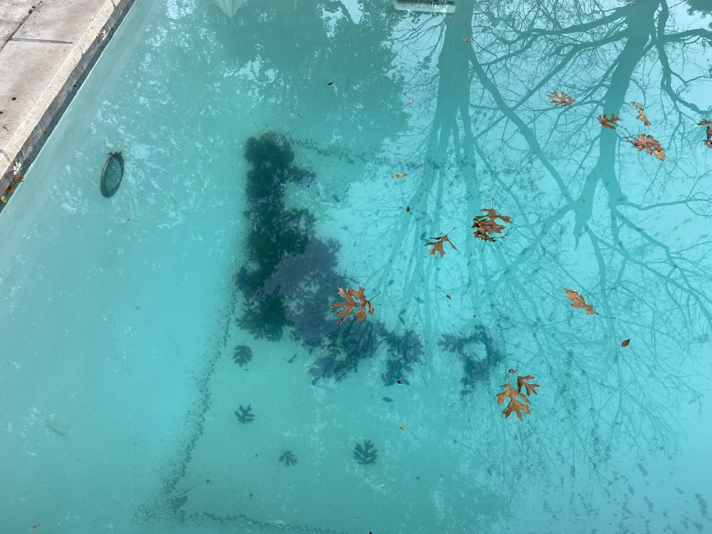 Photo of Poolwerx - Forest Lane
