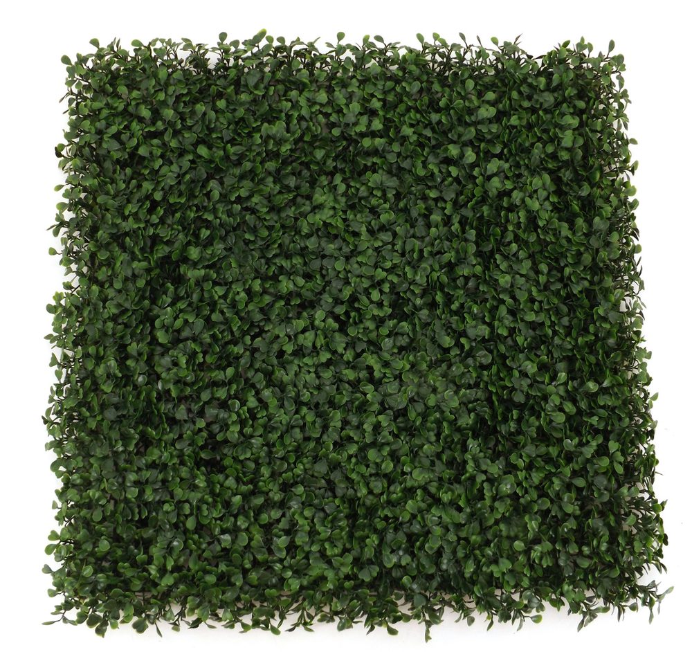 Photo of Green Line Landscaping