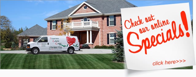 Photo of Tender Lawn Care