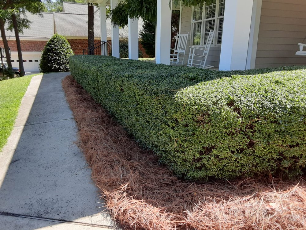 Photo of Juan Mata Lawn Care Services