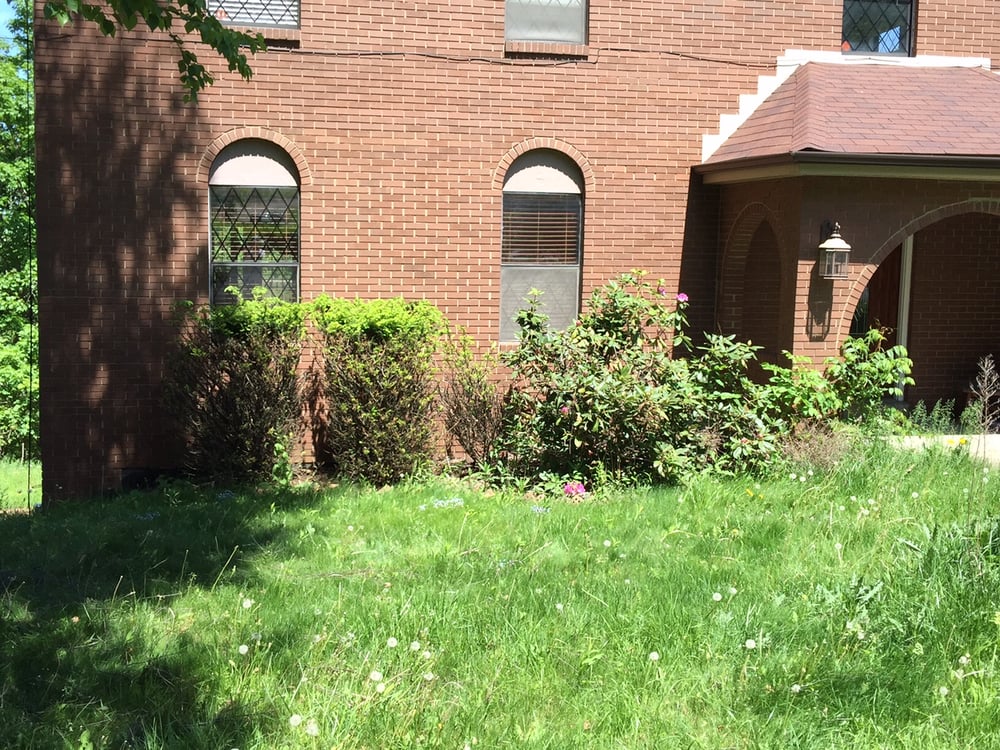 Photo of Dependable Lawn Services