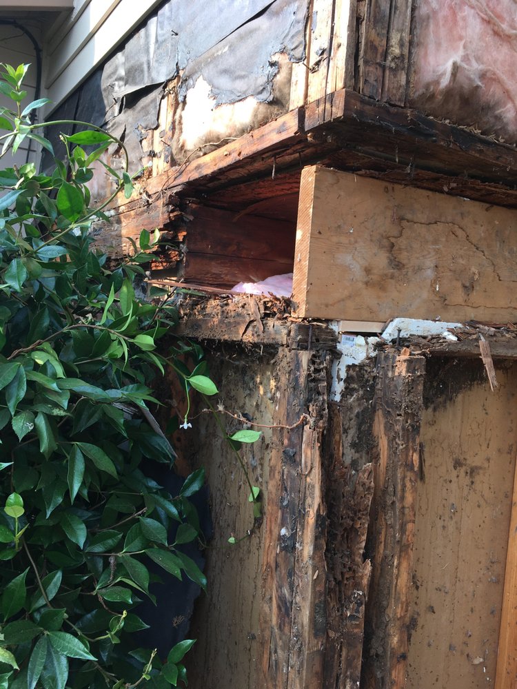 Photo of Sound Siding