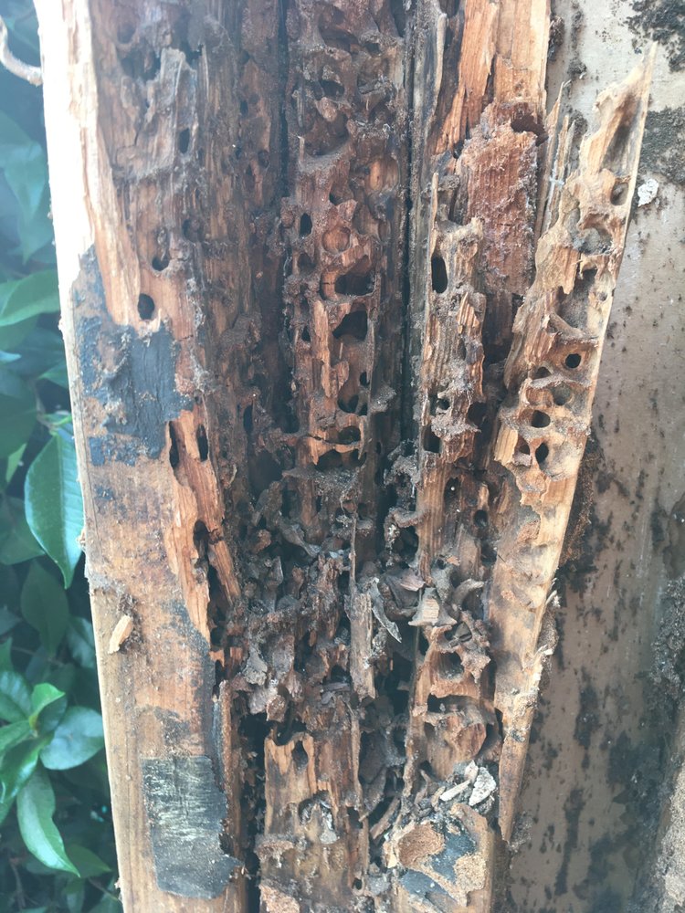 Photo of Sound Siding