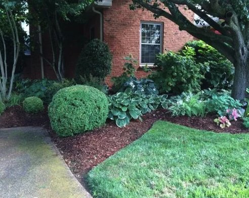 Photo of Nashville Landscaping