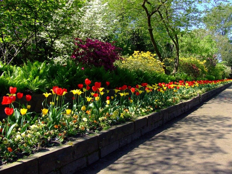 Photo of Nashville Landscaping