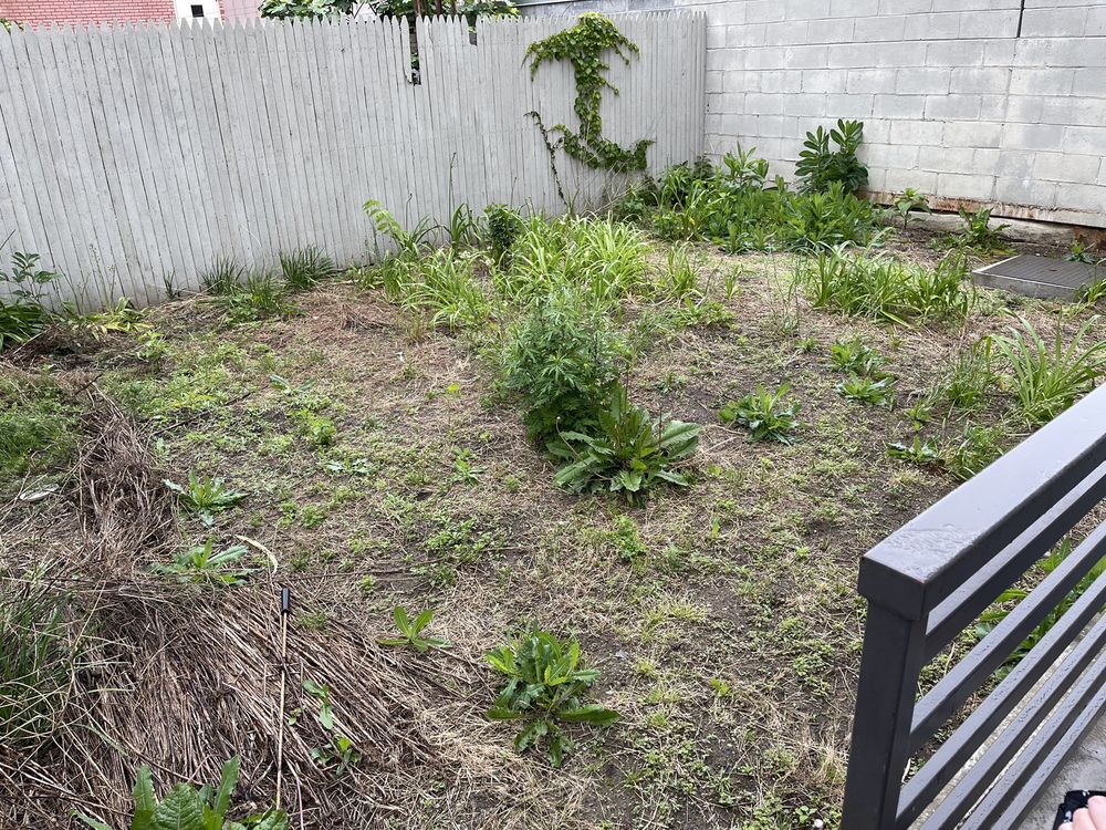 Photo of Garden Culture NYC