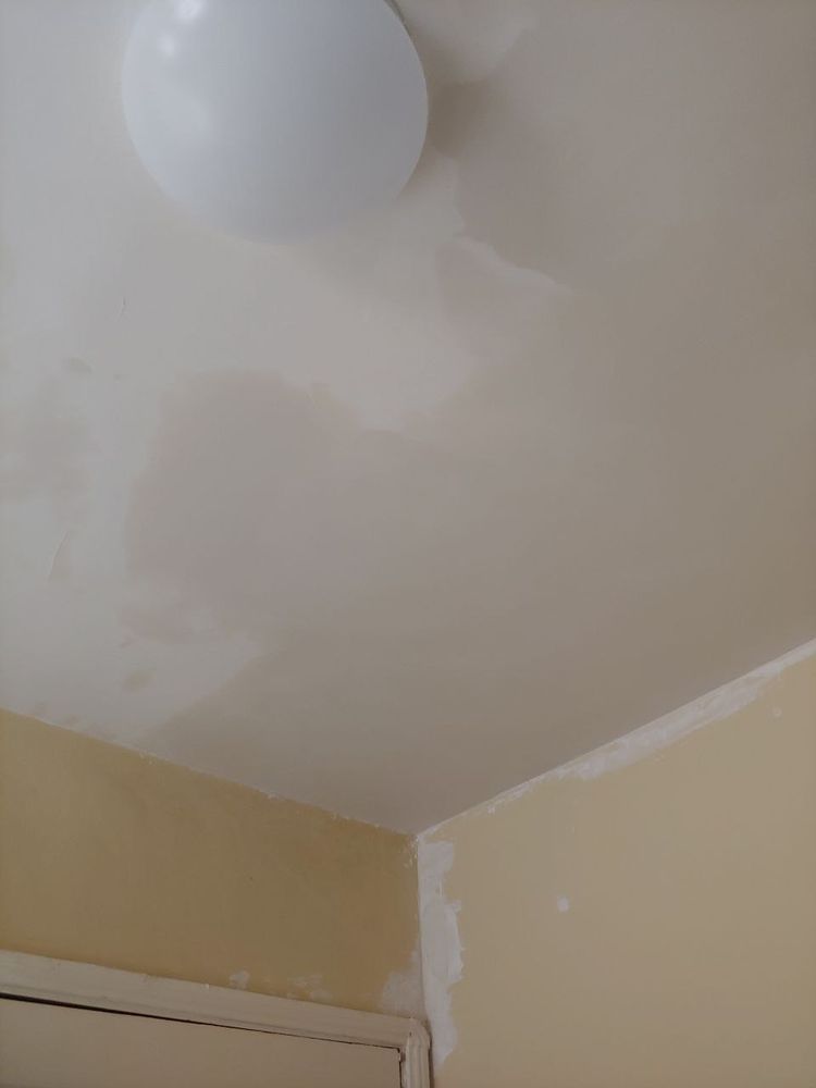 Photo of Gavin Plastering Services