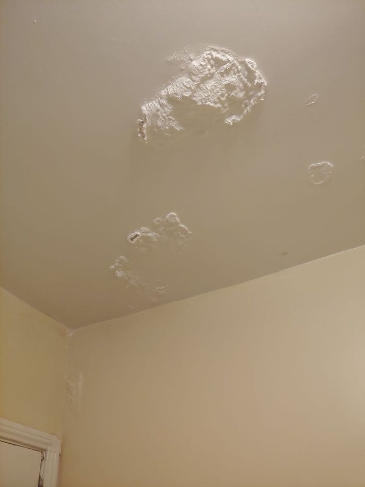 Photo of Gavin Plastering Services