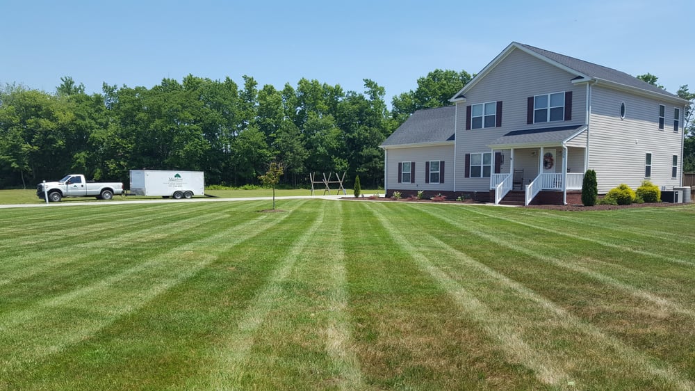 Photo of Meadow Lawn & Pest