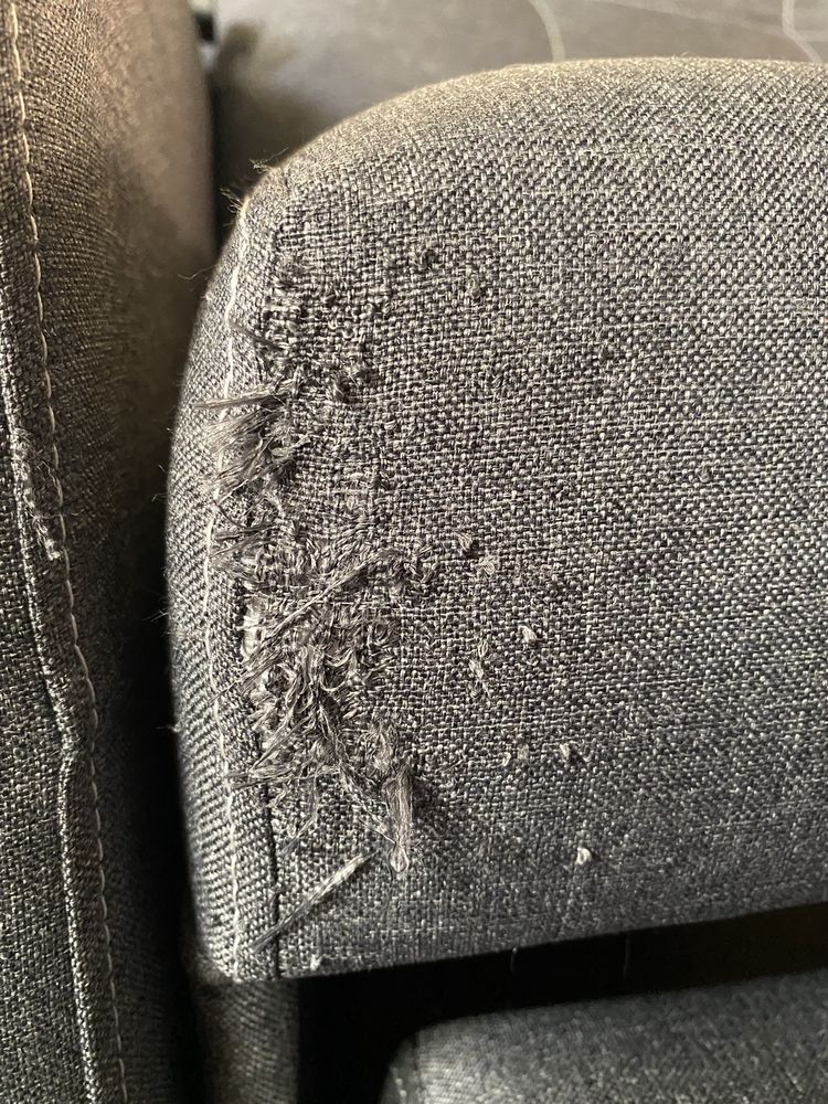Photo of Gazelle Custom Sewing
